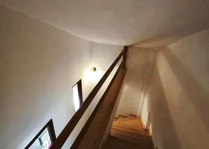 The White Rabbit Guesthouse Eco-Lodge \