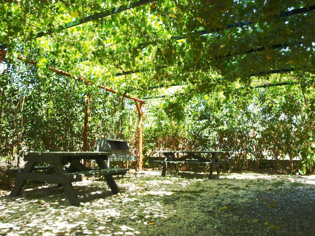 Apartamento The White Rabbit Eco-lodge 