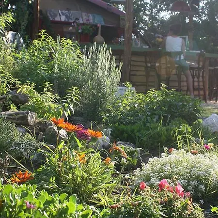 פסאקודיה The White Rabbit Guesthouse Eco-Lodge 