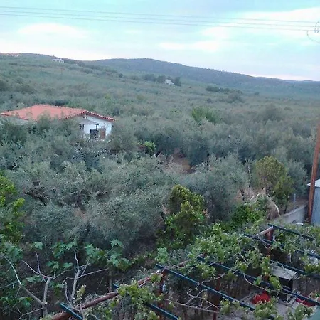 פסאקודיה The White Rabbit Guesthouse Eco-Lodge 