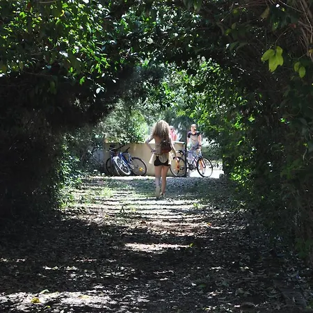 פסאקודיה The White Rabbit Guesthouse Eco-Lodge 