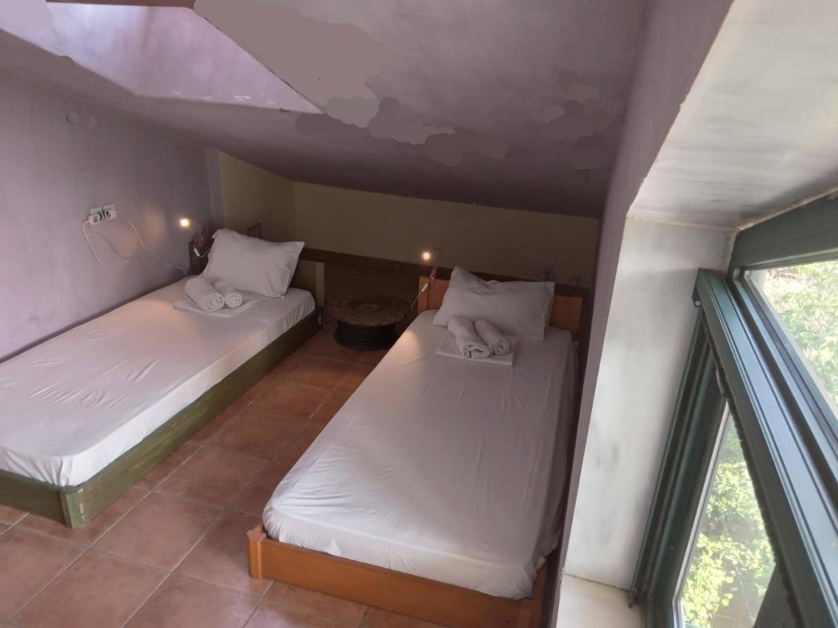 The White Rabbit Eco-lodge 