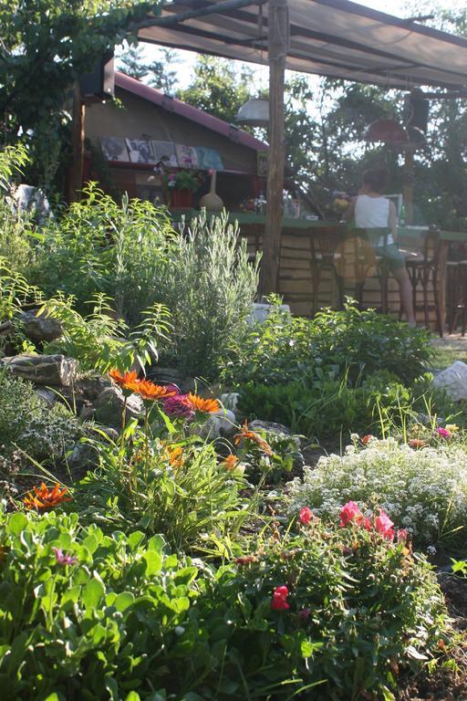 The White Rabbit Eco-lodge 