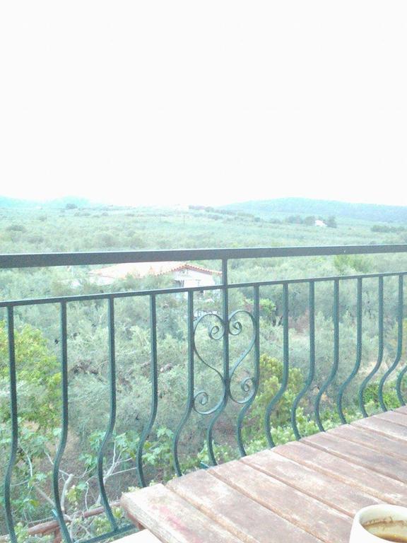 The White Rabbit Eco-lodge 